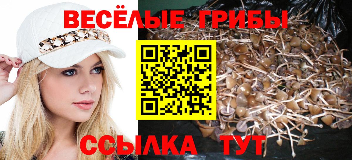 закладка  Вход с VPN  Сыктывкар  Псилоцибиновые грибы мухоморы  Псилоцибиновые грибы Psilocybe 