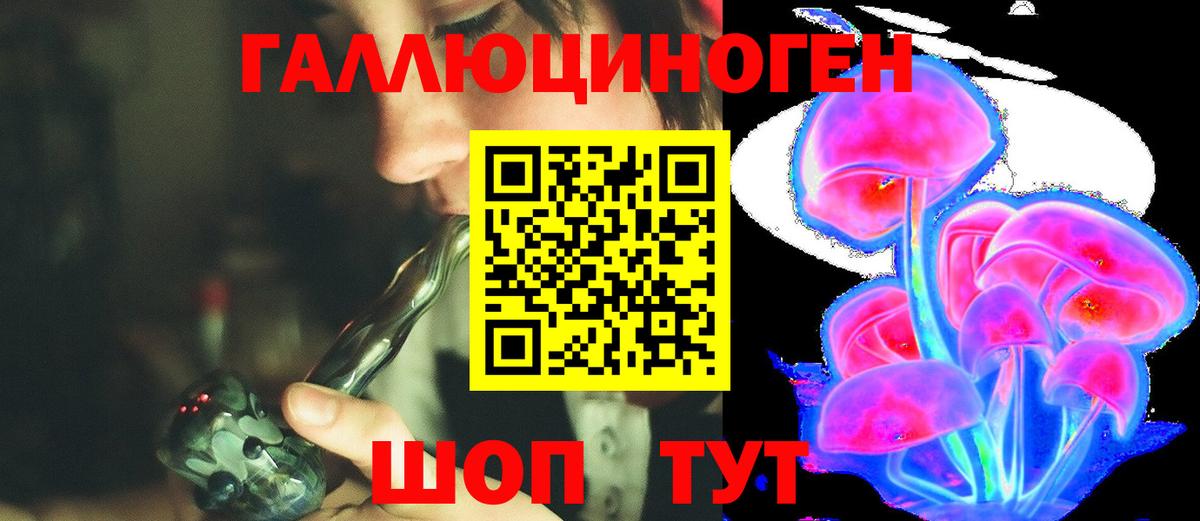 Псилоцибиновые грибы Cubensis Сыктывкар