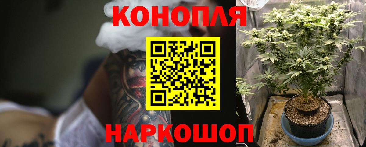 Бошки марихуана VHQ Сыктывкар